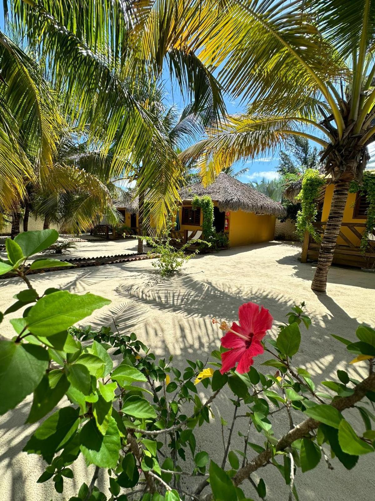 Pousada Vento Do Kite Barra Grande  Ngoại thất bức ảnh