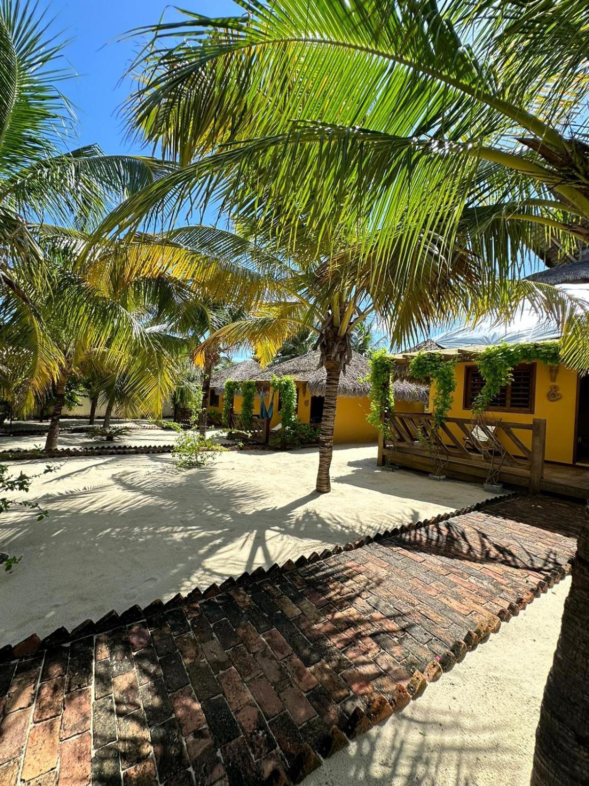 Pousada Vento Do Kite Barra Grande  Ngoại thất bức ảnh