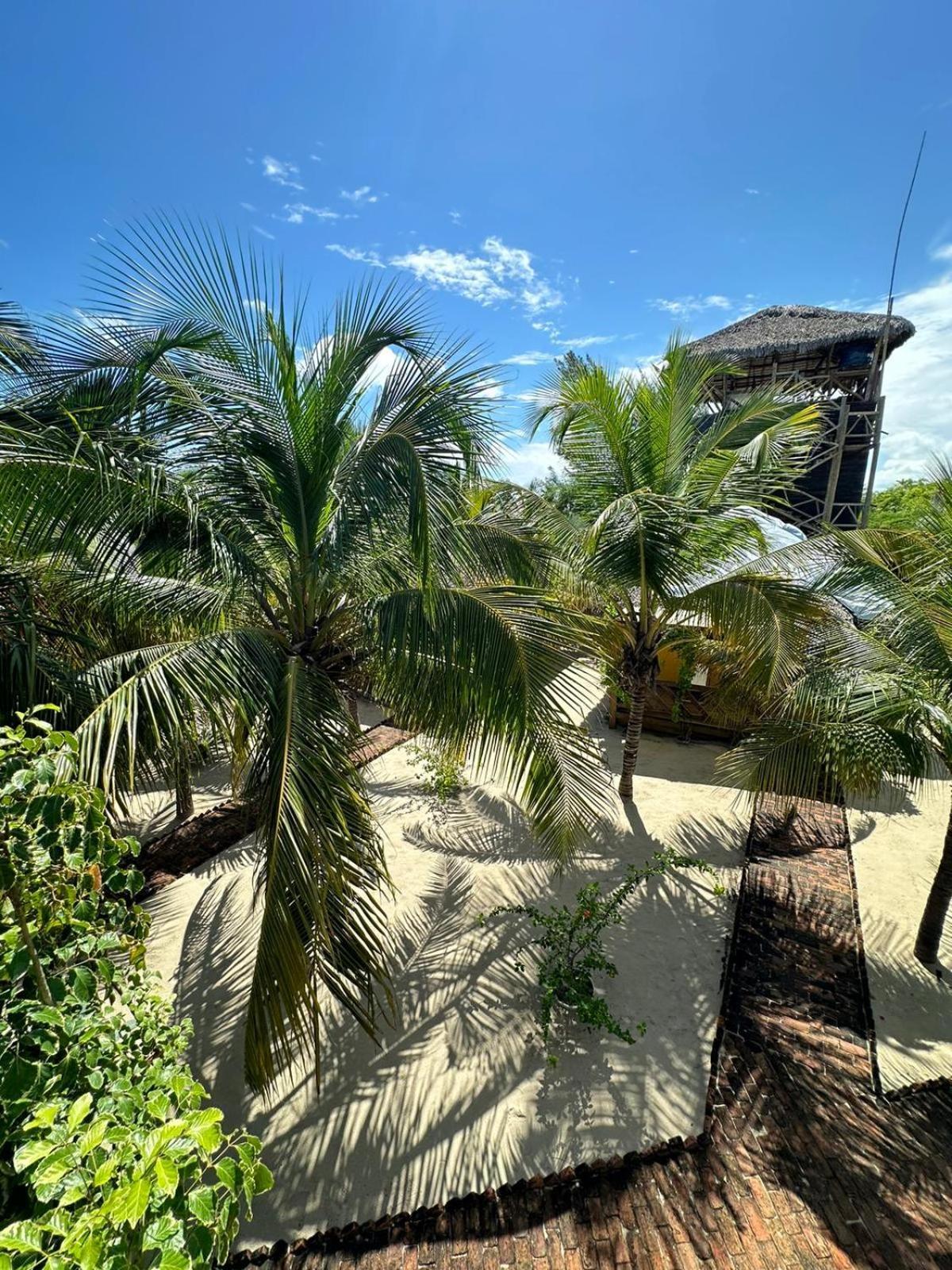Pousada Vento Do Kite Barra Grande  Ngoại thất bức ảnh