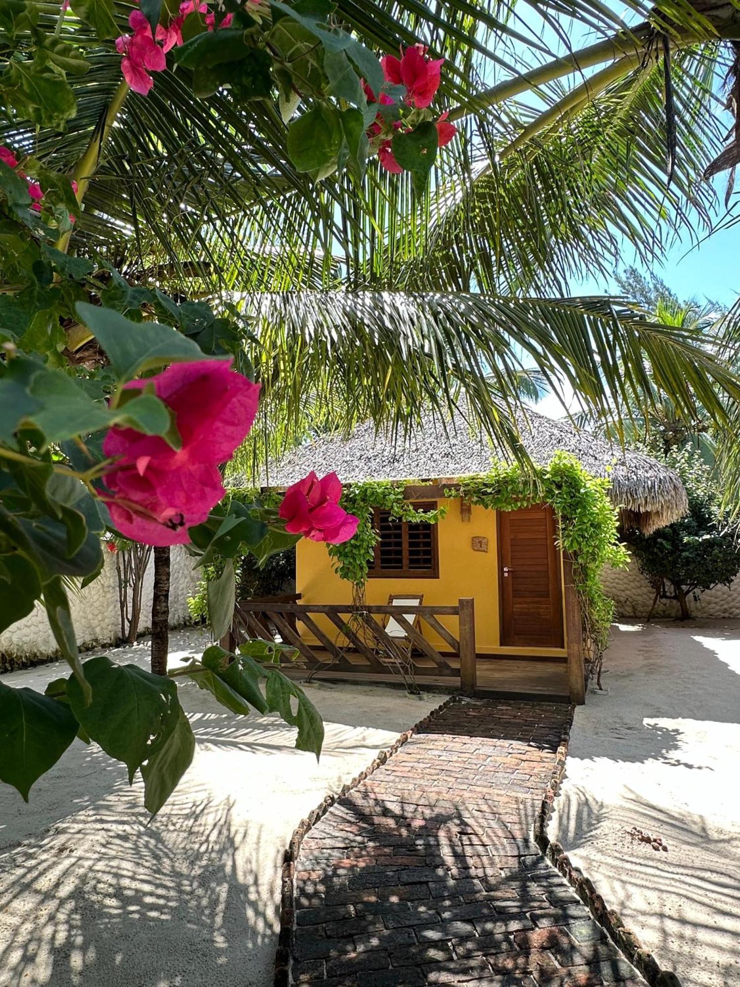 Pousada Vento Do Kite Barra Grande  Ngoại thất bức ảnh